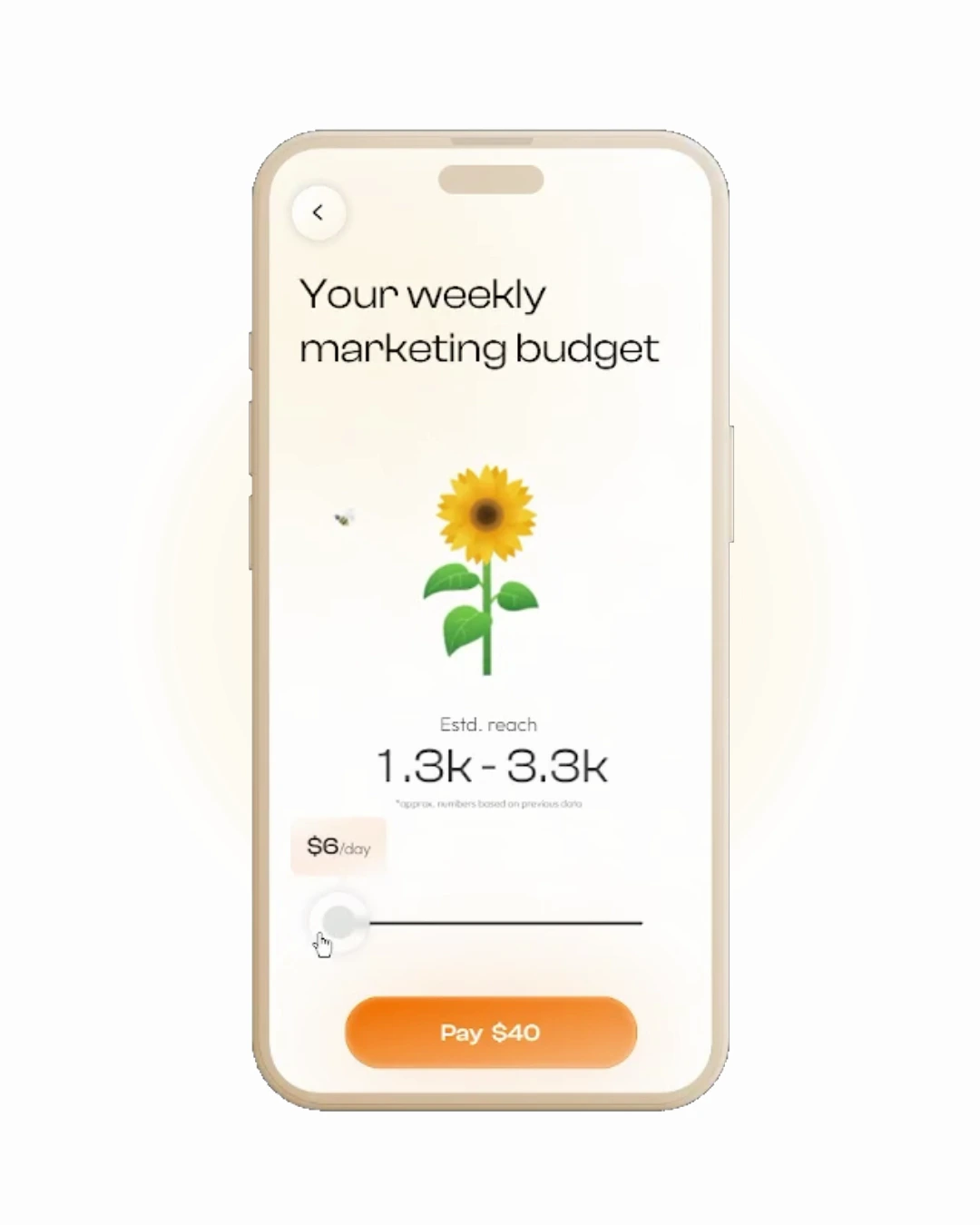 Making Budgets Bloom